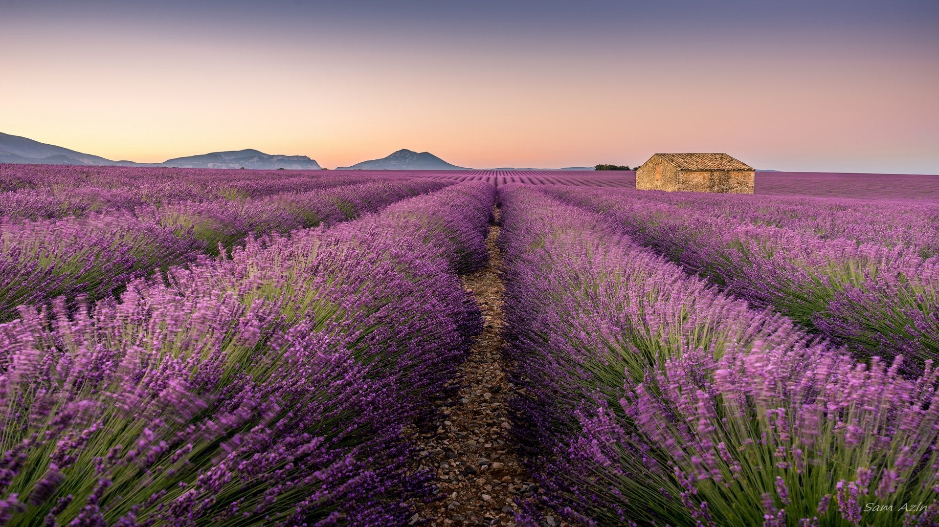 What is Lavender rayon?