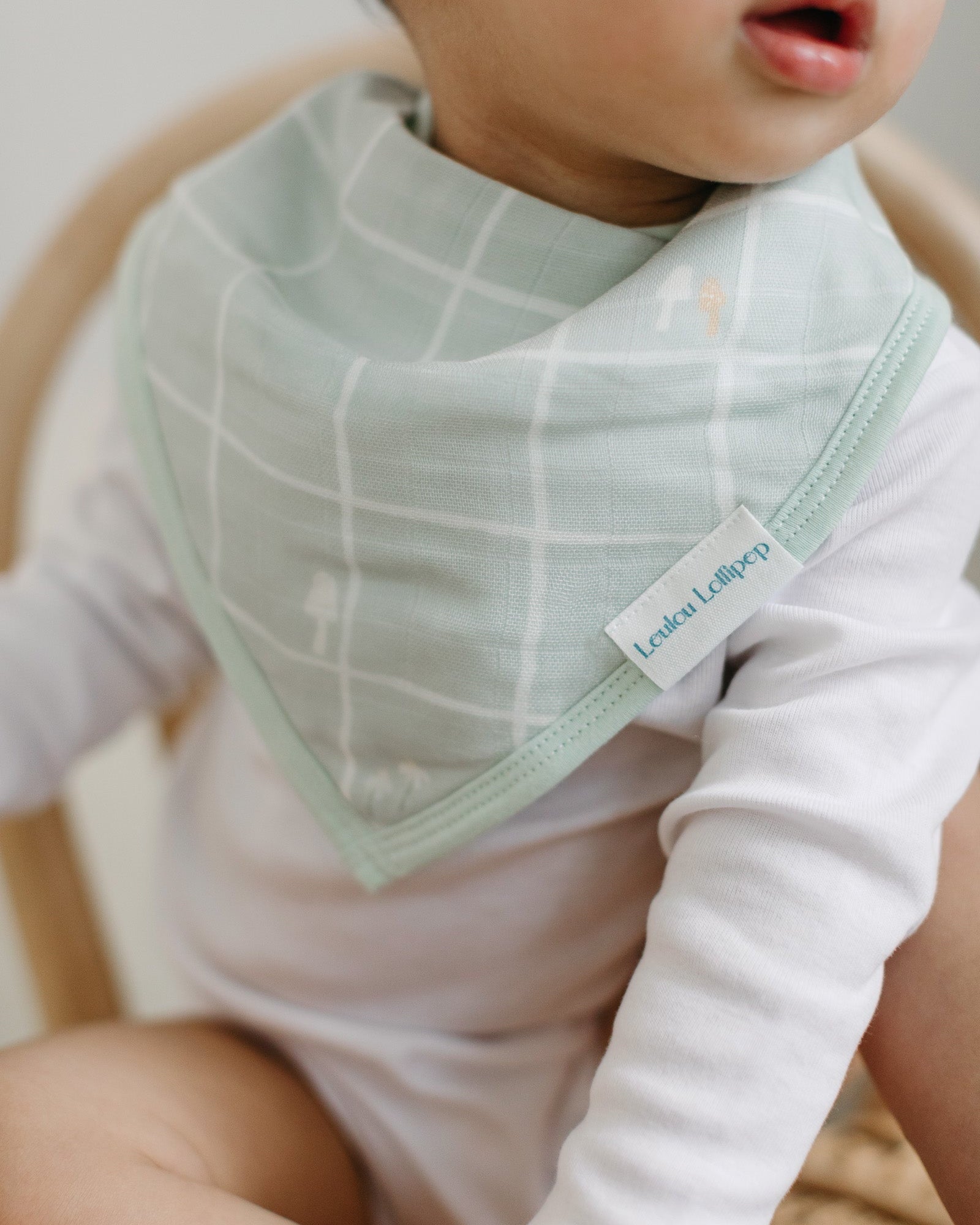 Bandana-Bib-Set-2-Pack-Hedgehogs-3