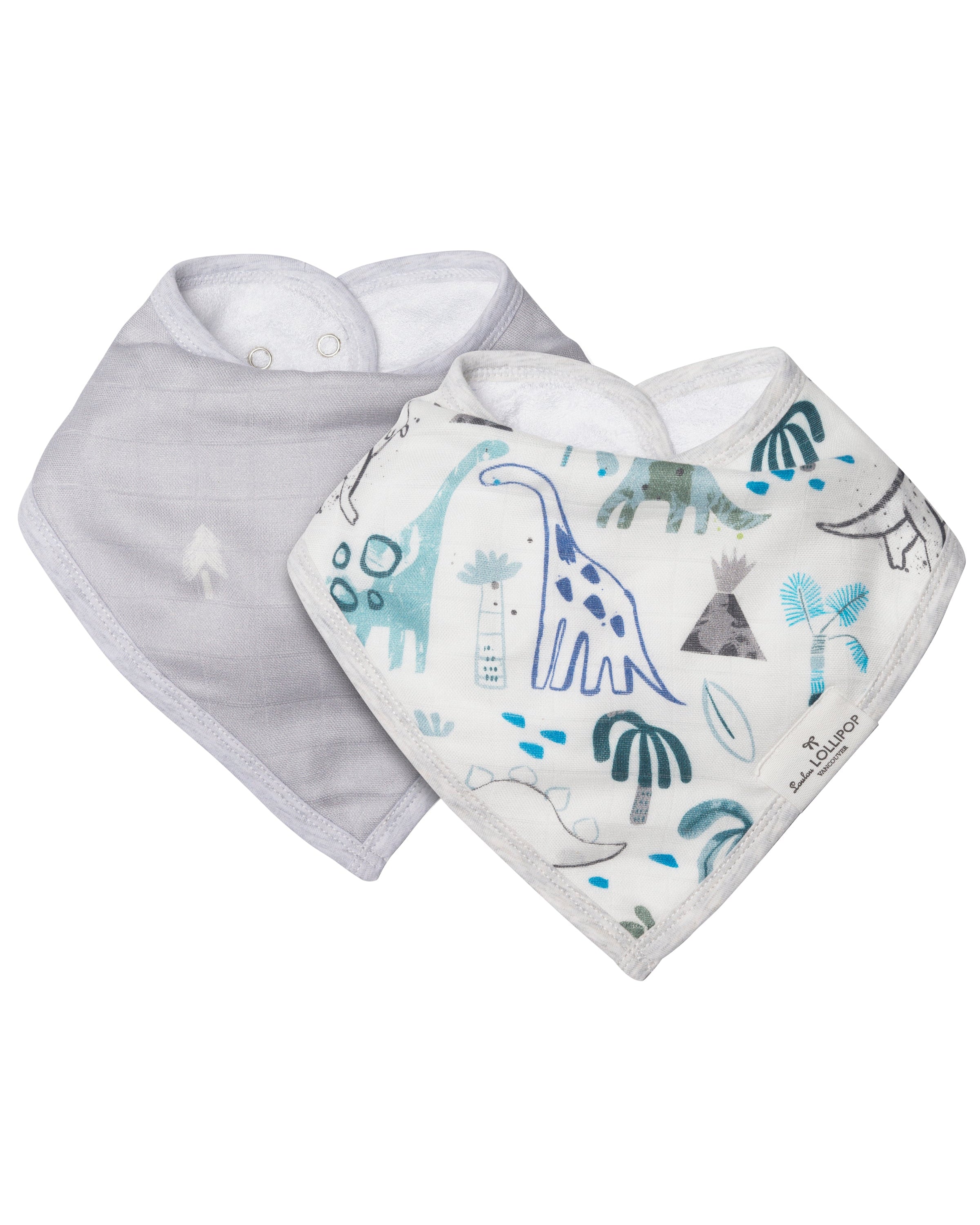 Bandana-Bib-Set-2-Pack-Dinosaurs-1