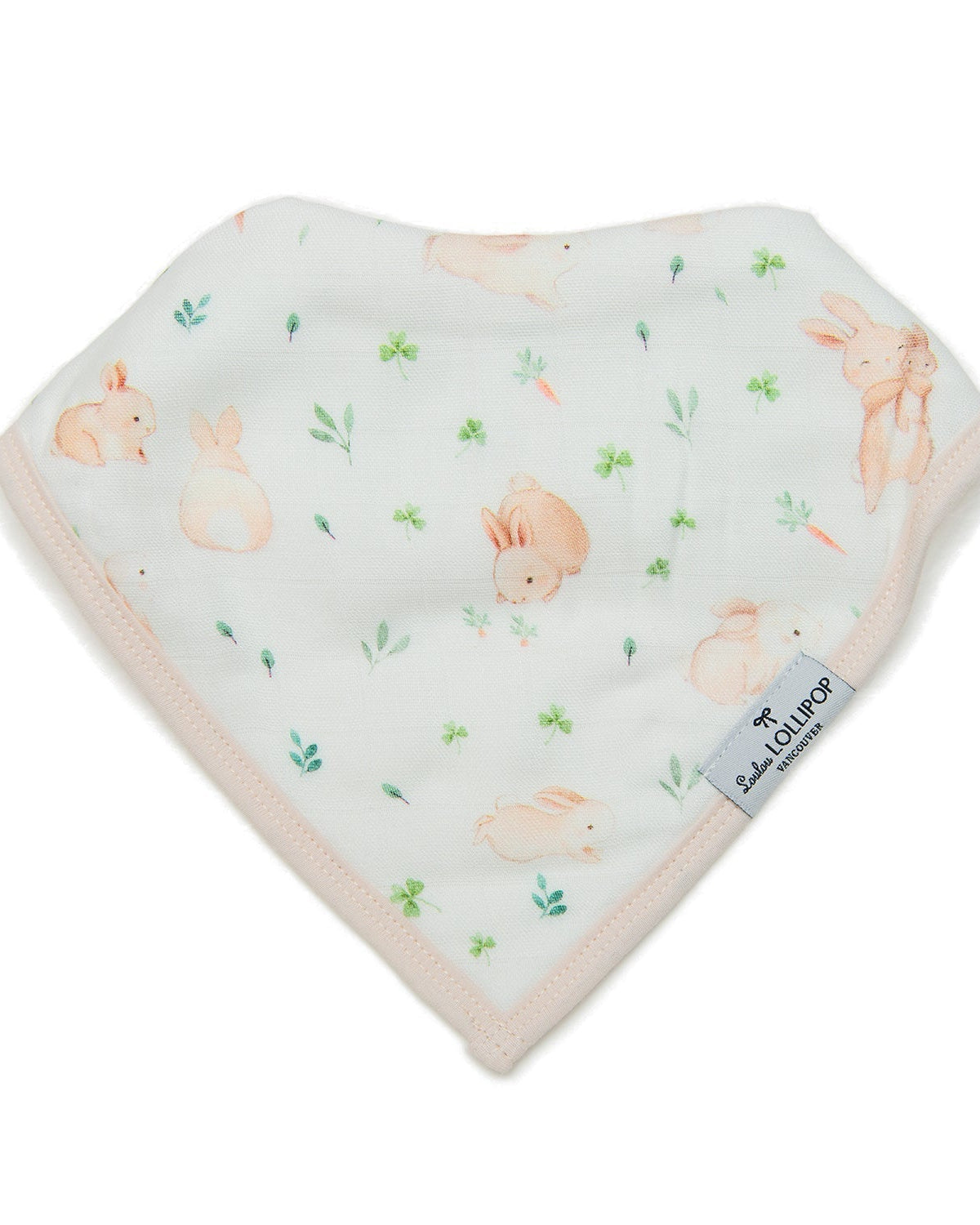 Bandana-Bib-Set-2-Pack-Bunny-Meadow-3