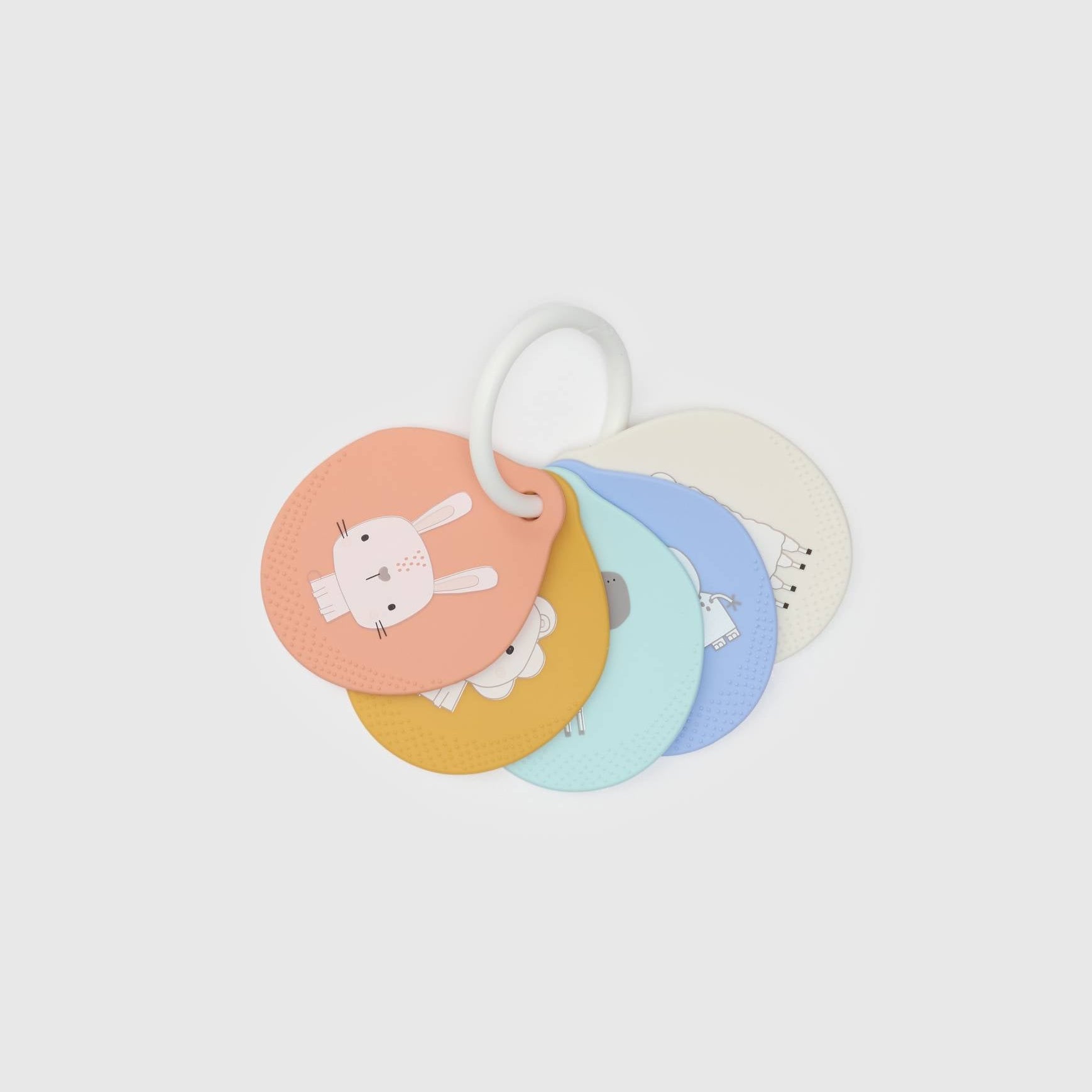 Loulou Lollipop Flashcards in Nature — front view on white background