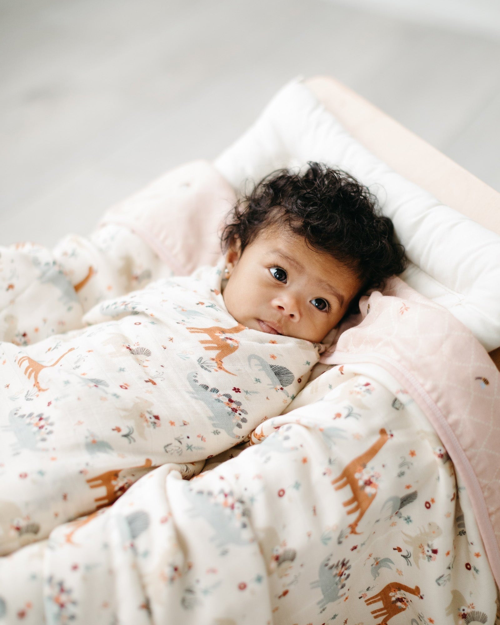 Muslin-Swaddle-Baby-Dinomite-3