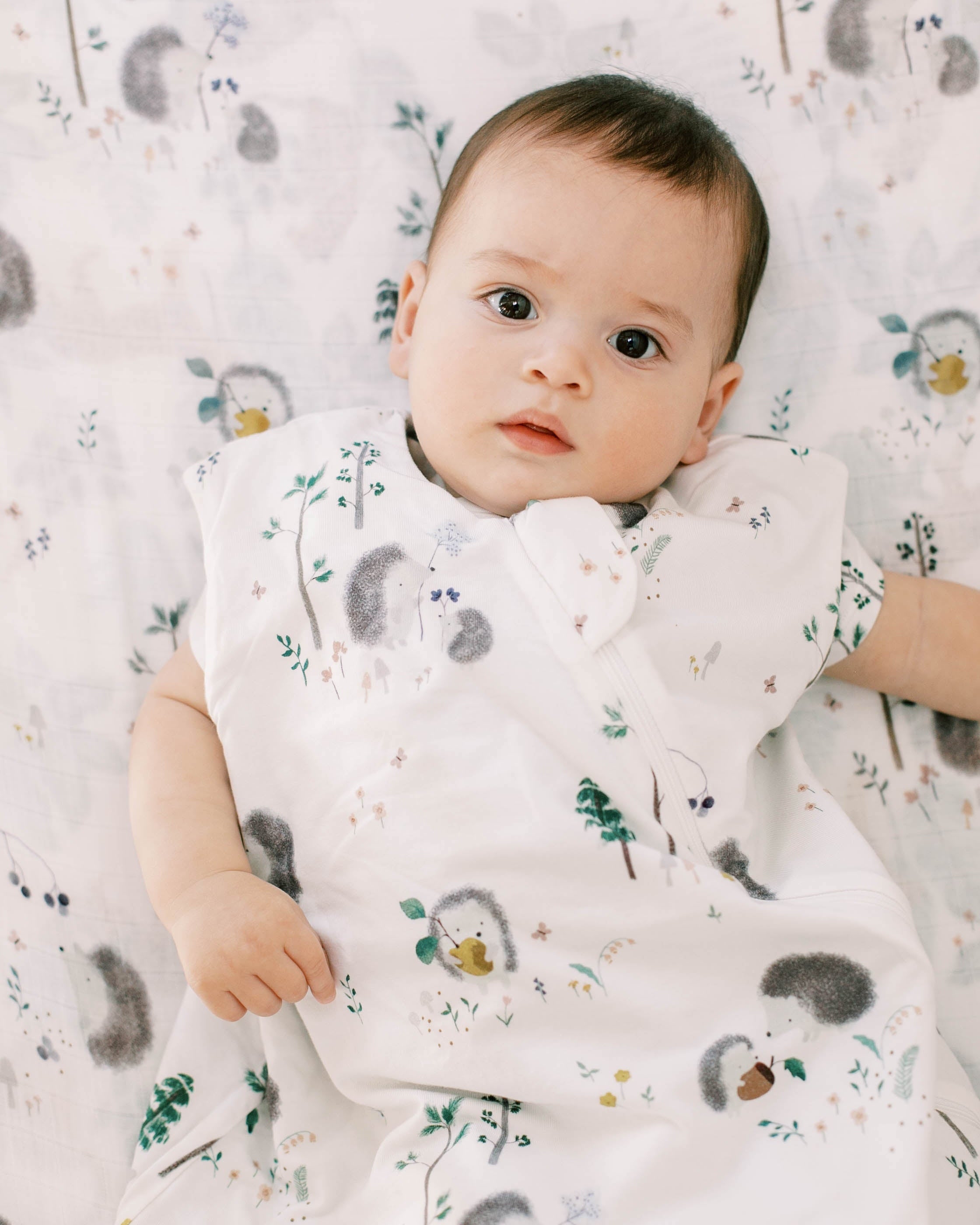 Tencel-Sleep-Bag-1.0-TOG-Hedgehogs-2