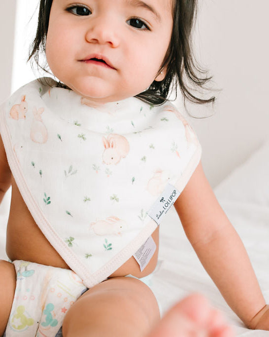 Bandana-Bib-Set-2-Pack-Bunny-Meadow-2