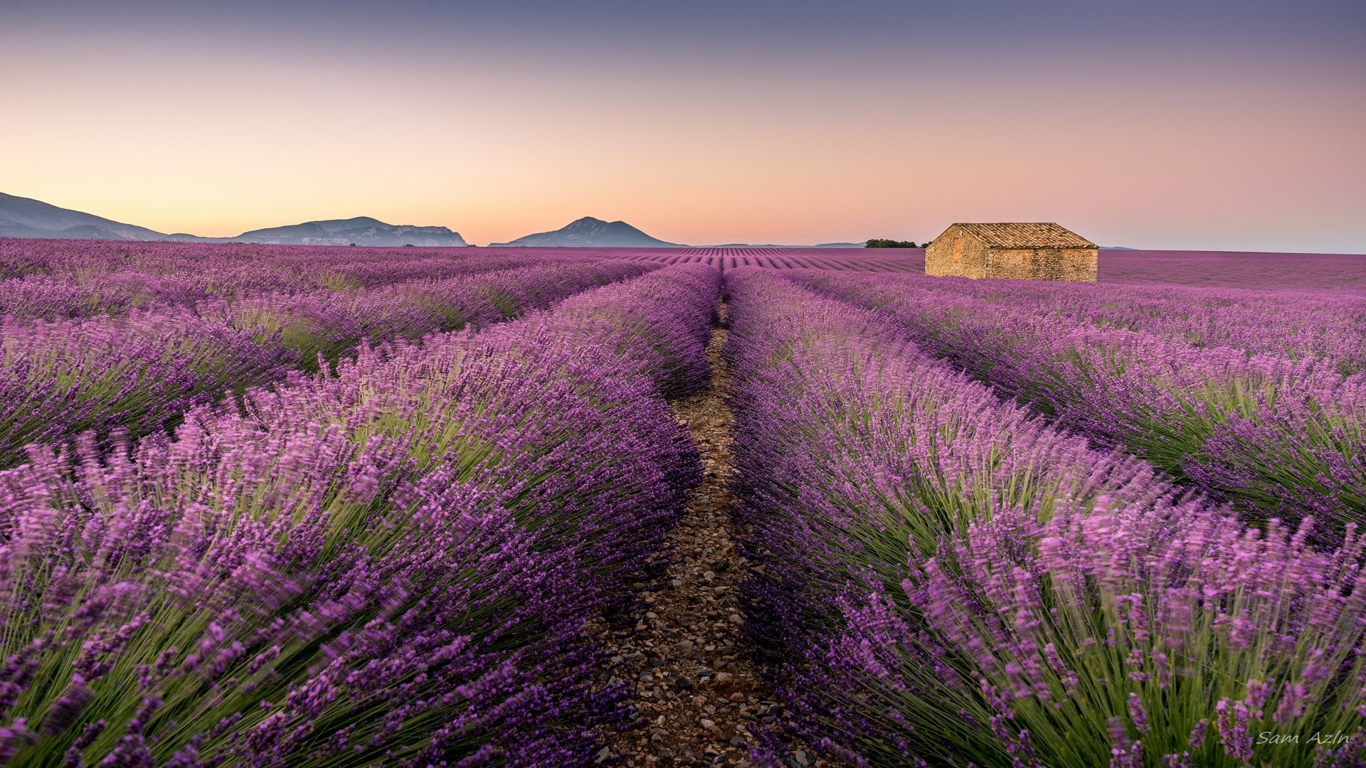 What is Lavender rayon?